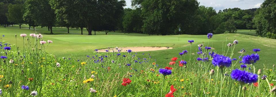 Kingswood Golf Course - photo 5