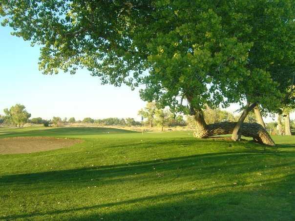 Fallon Golf Course - photo 2