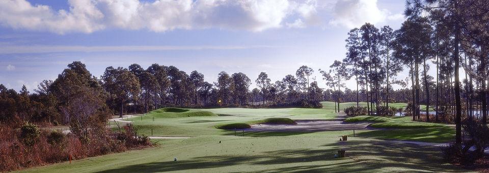 Champions Club at Summerfield - photo 5