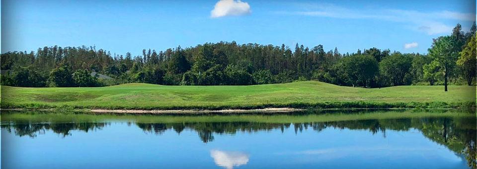 The Groves Golf & Country Club - photo 5
