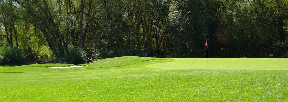 Logan River Golf Course - photo 6