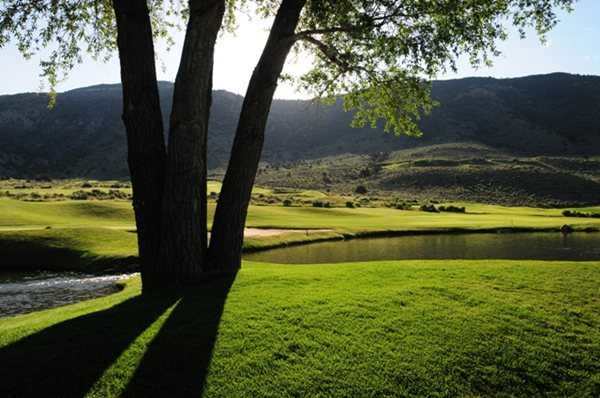 Eagle Springs Golf Club - photo 2