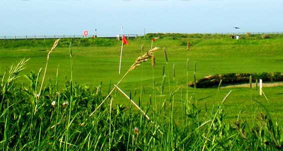 Rhyl Golf Club - photo 4