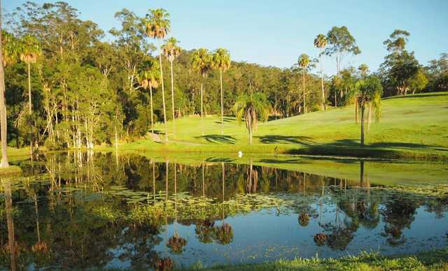 Nambour Golf Club - photo 2