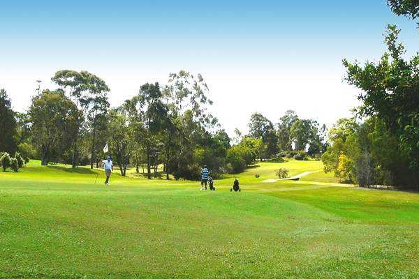 Cooroy Golf Club - photo 4