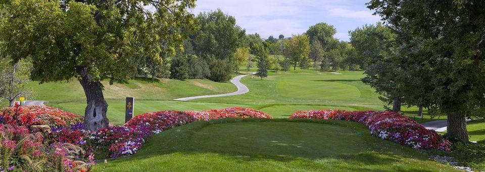 Hyland Hills Golf - South Par 3 Course - photo 3