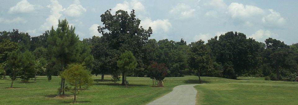 Links at Tuscaloosa - photo 7