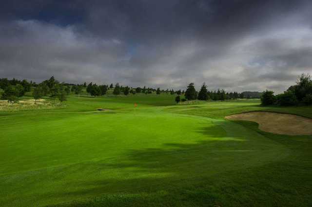 Chesfield Downs Golf and Country Club - photo 6