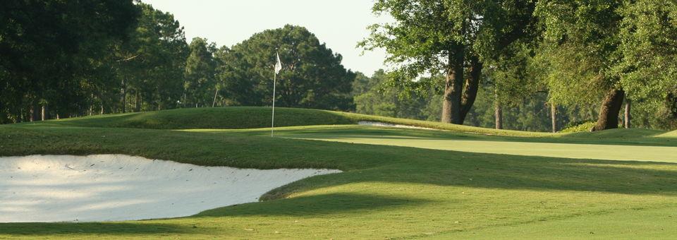 Gulf Shores Golf Club - photo 8