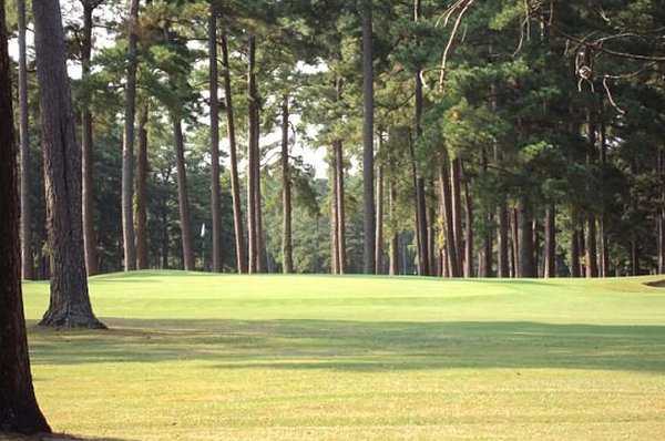 Stumpy Lake Golf Course - photo 5