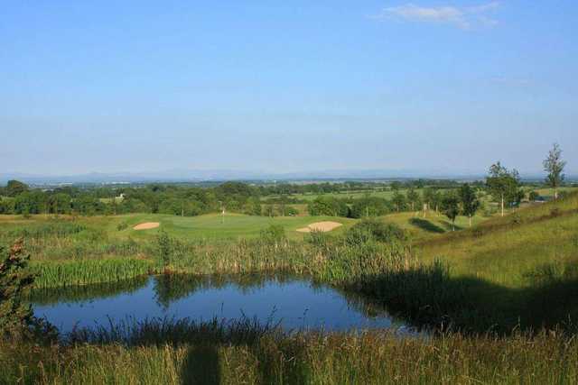 Dunmurry Springs - photo 7
