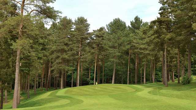 Westerham Golf Club - photo 4