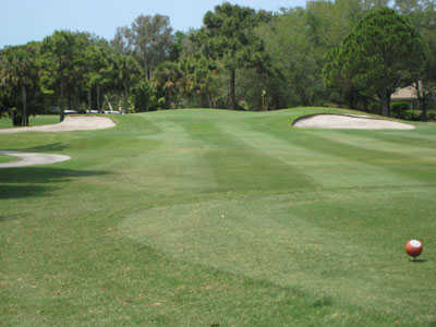 Boca Royale 1 - photo 5