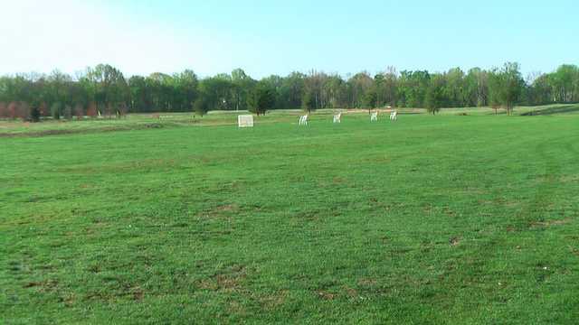 Harpeth Valley Golf Center - photo 3