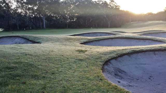 Newcastle Golf Club - photo 3