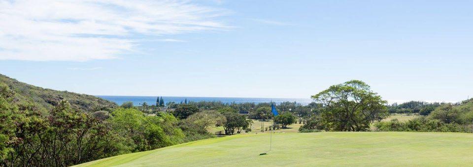 Hawaii Kai Golf Course - Championship - photo 7