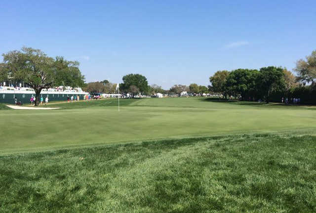 Bay Hills