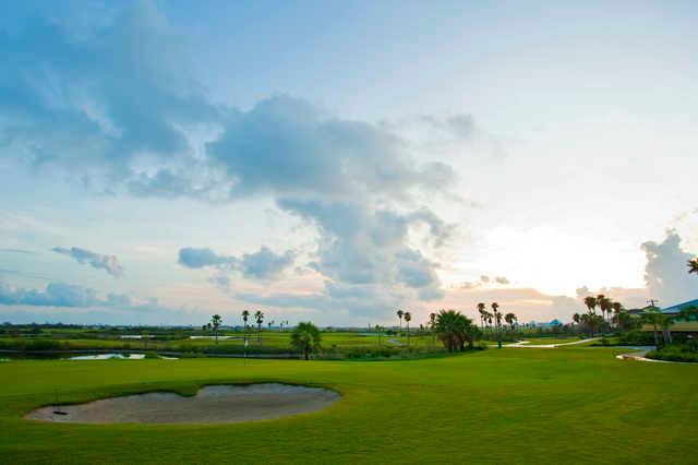 Moody Gardens Golf Course - photo 4
