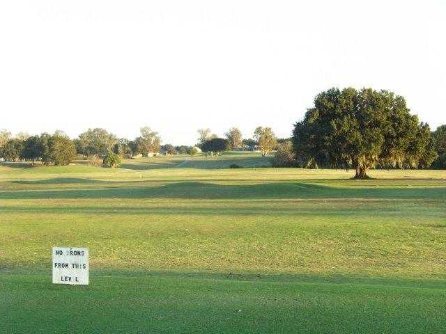 Diamond Hill - photo 7