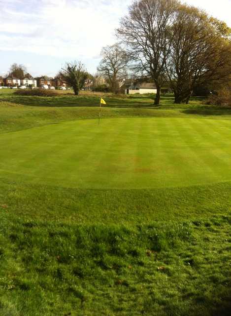 Thames Ditton & Esher Golf Club - photo 2