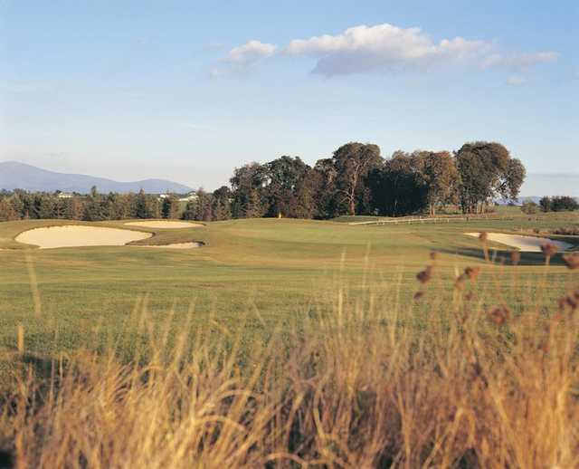 Gowran Park Golf Club - photo 3