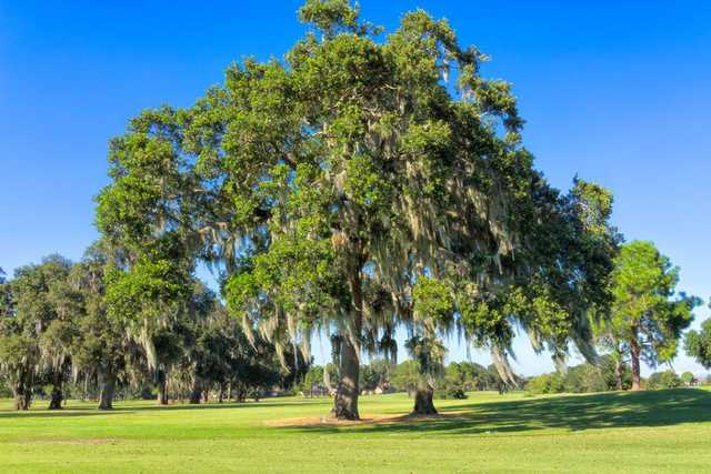 The Eagles Golf Club - Forest - photo 3