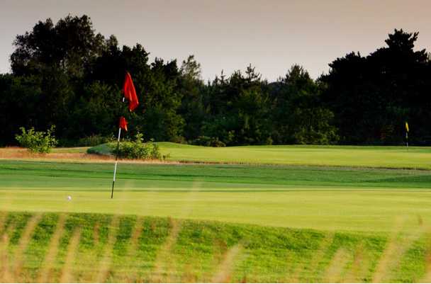 Bungay & Waveney Golf Club - photo 8