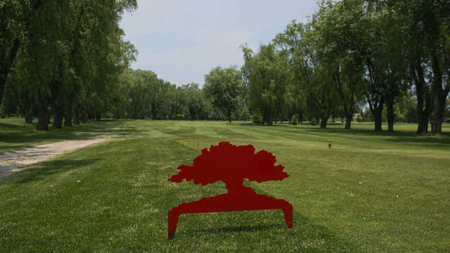 Rochester Place Golf Club - photo 3