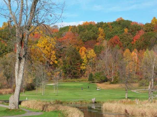 Wild Wood Country Club - photo 4