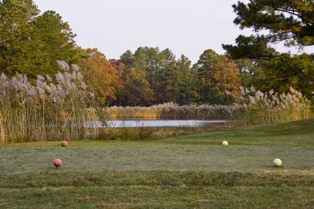 Nassawango Country Club - photo 3