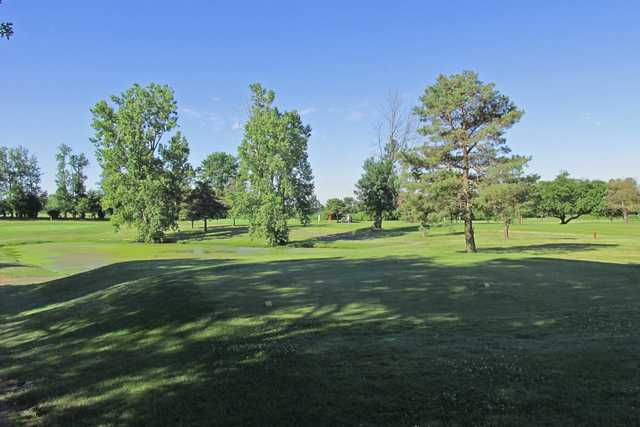Mastodon Golf Club - photo 3