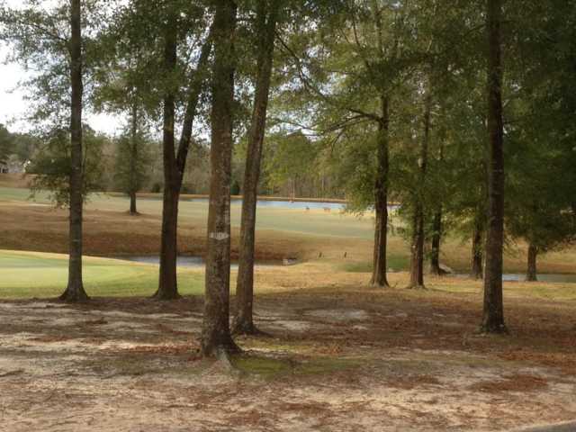 The Bridges at Tartan Pines - photo 3