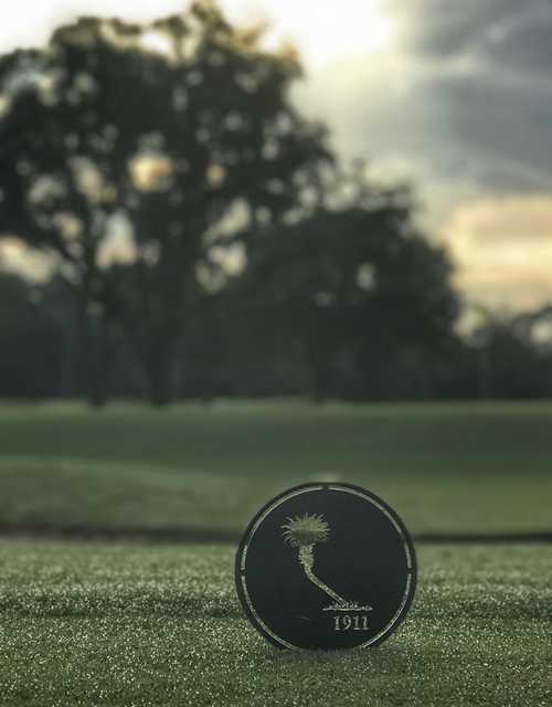Country Club of Orlando - photo 4