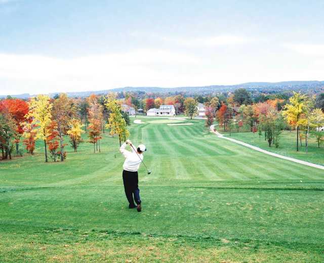 The Woods Resort - photo 5