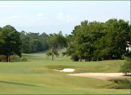 Porter's Neck Country Club - photo 4