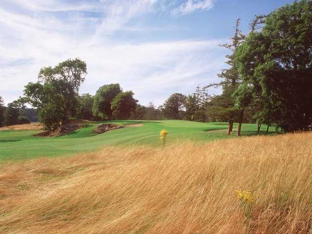 Carton House Golf Club - Montgomerie Course - photo 2