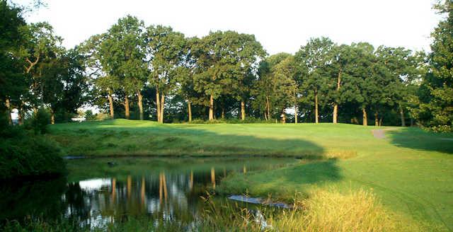 Clearview Park Golf Course - photo 8
