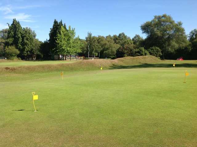 New Forest Golf Club - photo 3