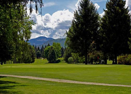 Birchbank Golf Course - photo 4