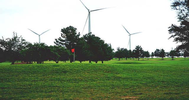 Big Spring Country Club - photo 2