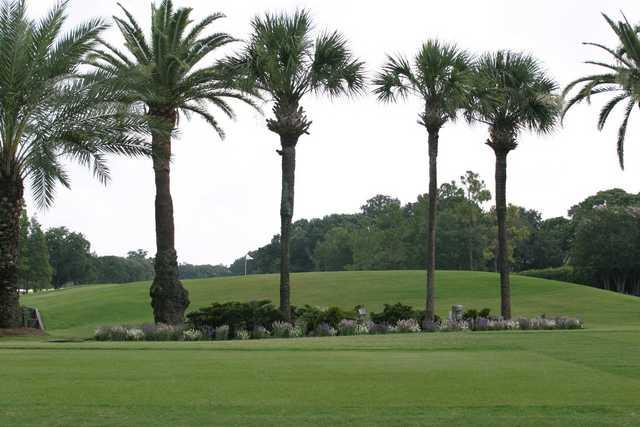 Palma Ceia Golf & Country Club