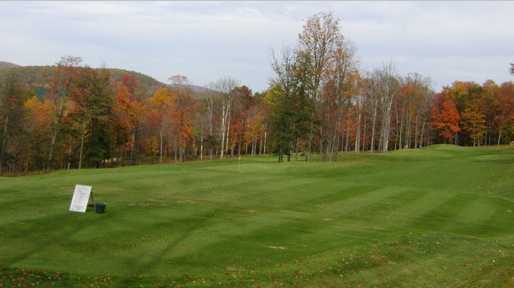 Freestone 1 - photo 2