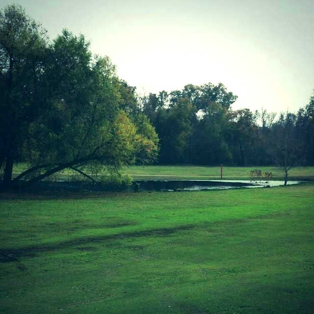 Indian Shores - photo 2
