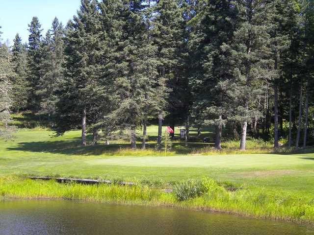 Moose River Golf Course - photo 1