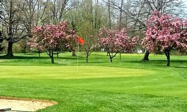 Elms Country Club - Front Course - photo 3