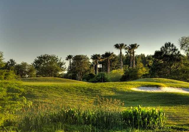 Tampa Bay Golf & Country Club - photo 3