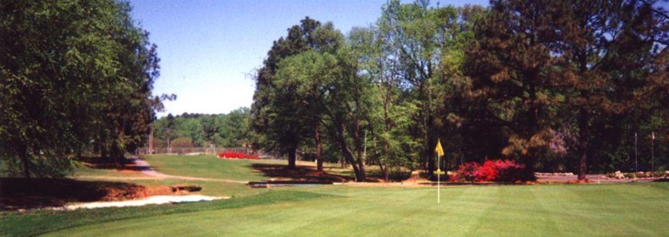 Willow Springs Country Club - photo 3