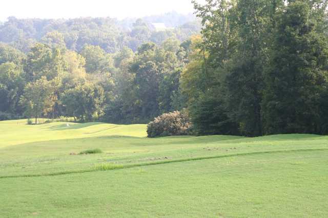 Arrowhead - photo 4