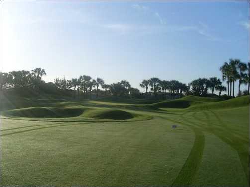 Pelican Marsh Golf Club - photo 3