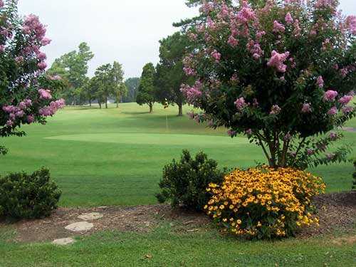 Mc Canless Golf Course - photo 2